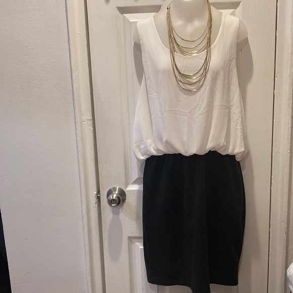 Have Dresses & Skirts - Have Large L Dress Black and White Mini Professional